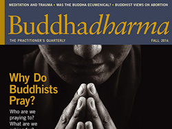 buddhadharma-journal